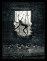 tomb raider