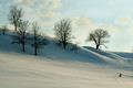 snowy landscape