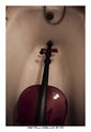 THE CELLO III
