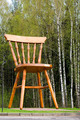    / Chair for Giant
