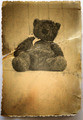 Teddy