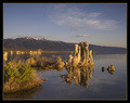 Mono Lake