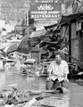 Tsunami: Paradise Lost