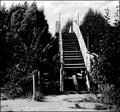 The bridge