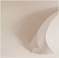 White lines