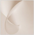 White lines 2