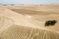 Nasca Desert