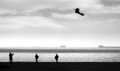 childhood`s flight