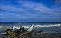 Baltic Sea in winter