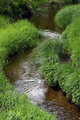 stream
