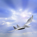 Flying Machine