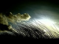 High Grass