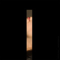   / Hidden Erotic / (Composition I)