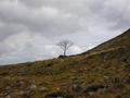 Alone
