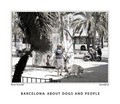 BARCELONA: ABOUT DOGS AND PEOPLE