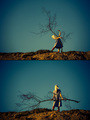 dance with tree