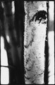   #4