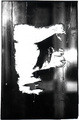   #14