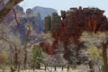   Zion 