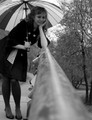 umbrella