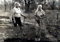    , 1975 .:)