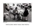 BARCELONA: ABOUT DOGS AND PEOPLE