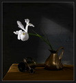 Iris No.8