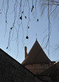 Trakai #1