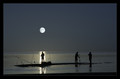 Moonlight Fishing