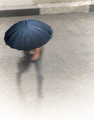 rain
