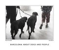 BARCELONA: ABOUT DOGS AND PEOPLE