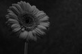 one