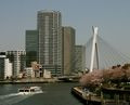 Sumida Ku View (1)