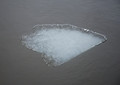 Ice-Island