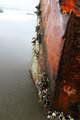 Cold summer at the seashore Op.1
