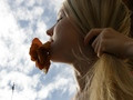 Fly