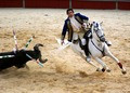 Moment of glory