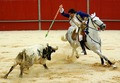 Corrida.Moments.