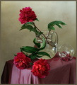 Paeonia No.1