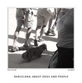 BARCELONA: ABOUT DOGS AND PEOPLE