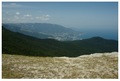iPetri