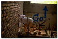 GO -  