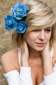 blue roses