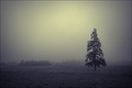  (090829-PICT6413-cp)