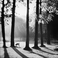  (090917-PICT8286)