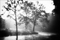 , ,  (090917-PICT82)