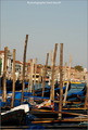 Itlia, Venzia, 2009