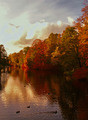 Seasons - Autumn