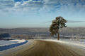 Road to...
