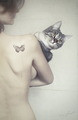 butterfly and cat...